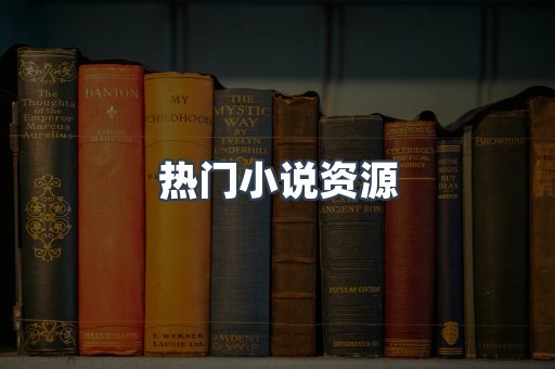 热门小说资源